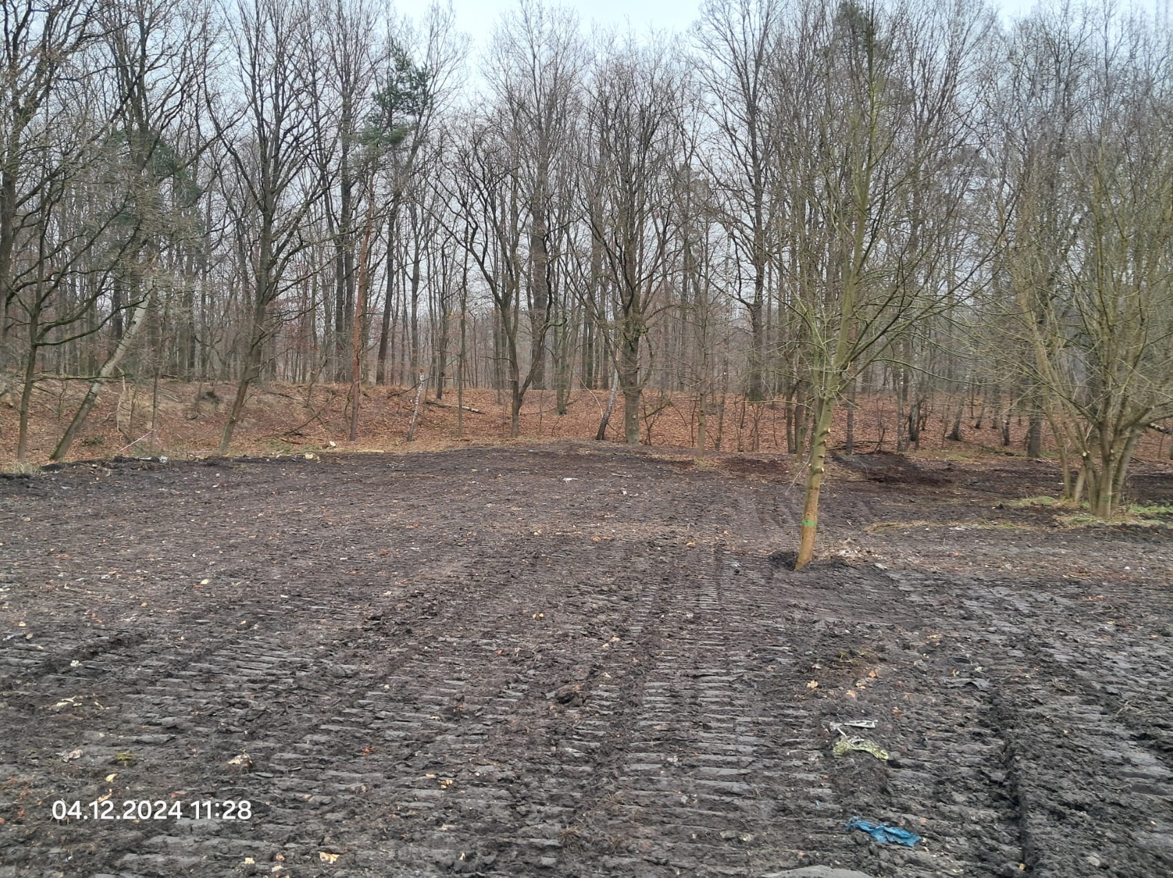 Obszar po zakończeniu prac rekultywacyjnych 1