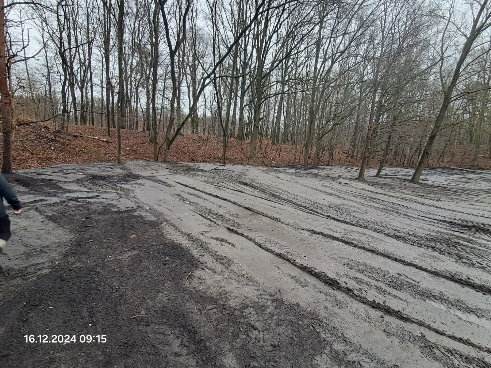 Obszar po zakończeniu prac rekultywacyjnych 2