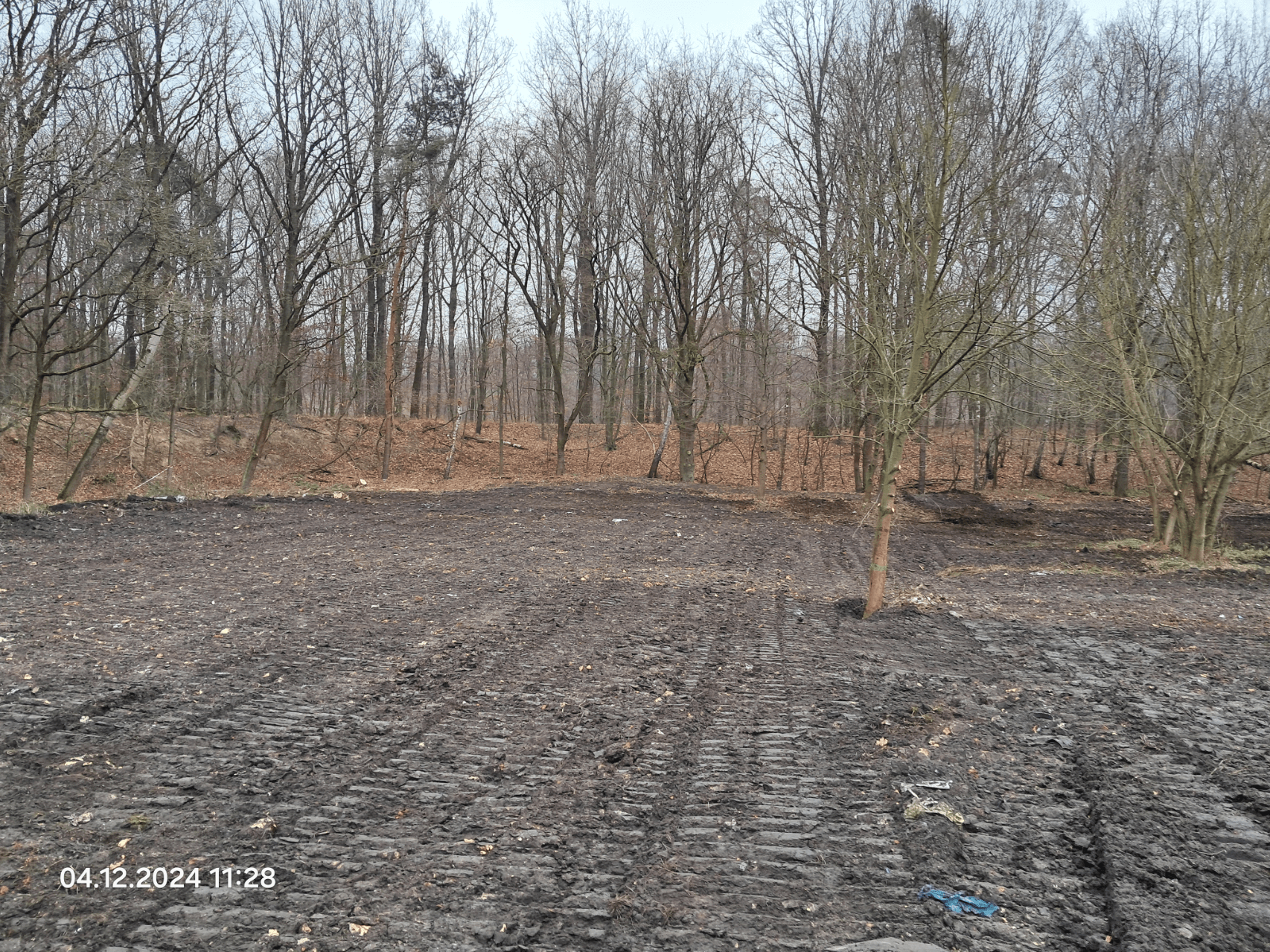 Obszar po zakończeniu prac rekultywacyjnych 2