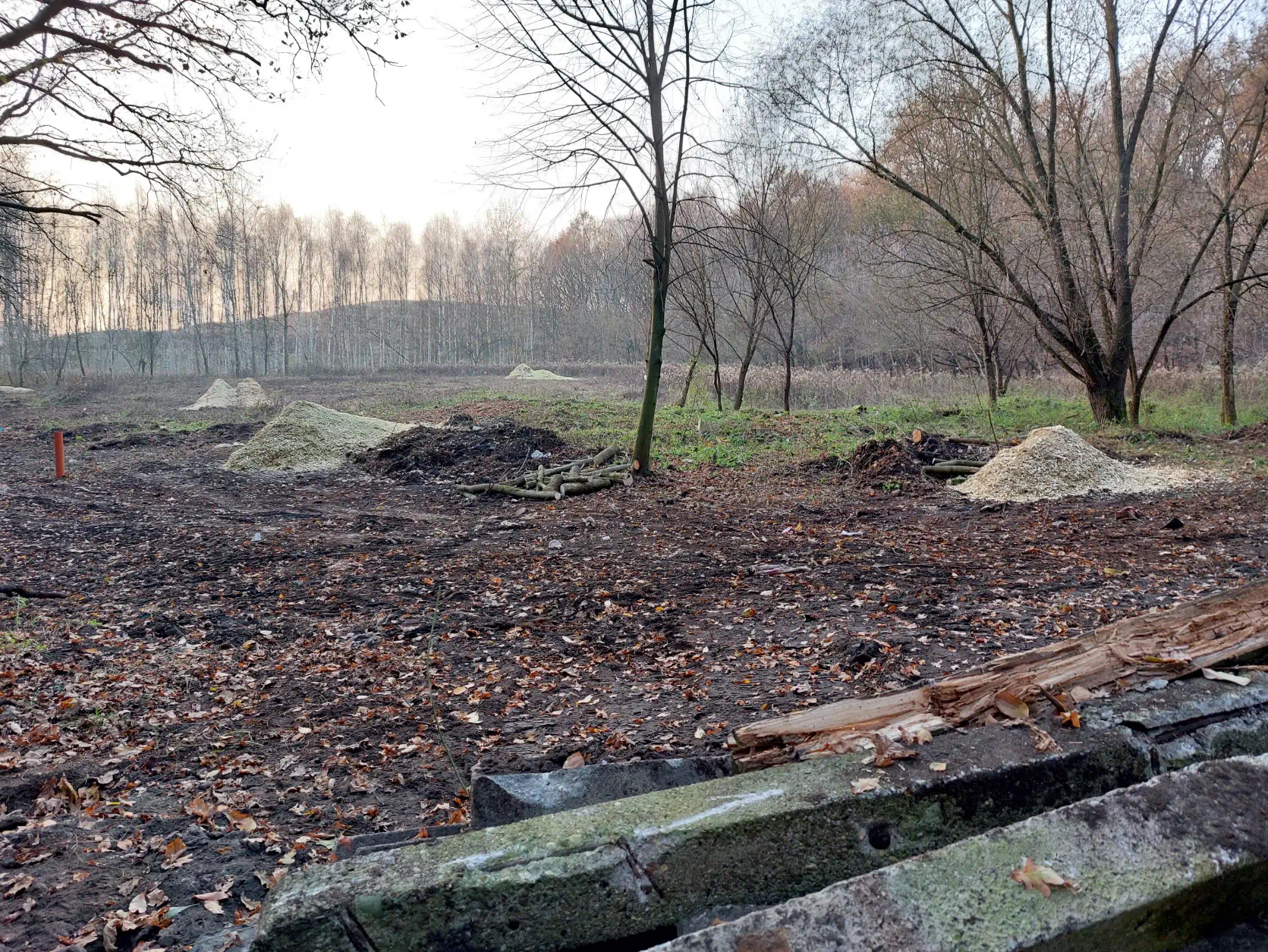 Teren przed pracami rekultywacyjnymi